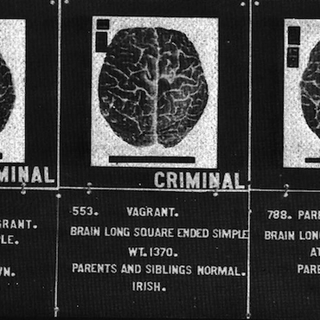 Brain self-regulation in criminal psychopaths