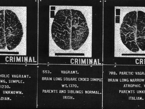 10 Fascinating Findings About The Minds Of Criminals