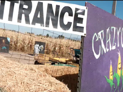 Utah Family Loses 3-Year-Old In Spooky Corn Maze, Realizes He’s Gone Next Day