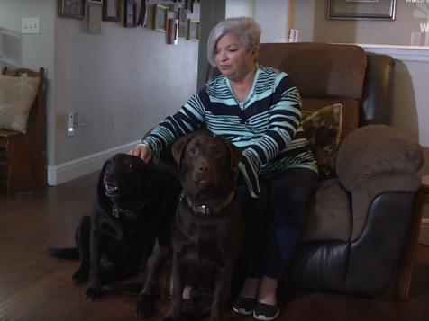 Florida Woman's Loyal Dogs Caught On Video Saving Her Life When She Has Stroke