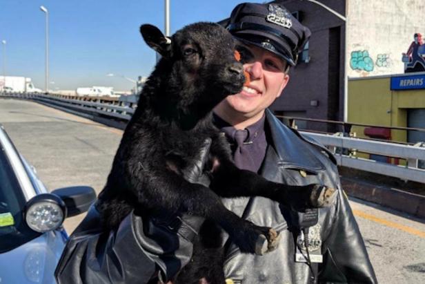 Highway Patrol Officer Dominick Gatto and Petunia [NYPD]