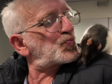 Sydney Police Reunite Homeless Man With His Missing Beloved Pet Rat