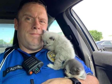 Texas Police Officers Rescue & Adopt Adorable Kittens Stuck Inside Car Bumper