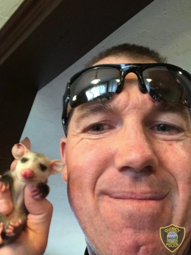 Stone Cold Steve Opossum and Officer Kaes [Quincy Police Department]