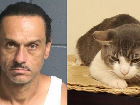 New Mexico Man Allegedly Choked His Cat, Fed It Meth