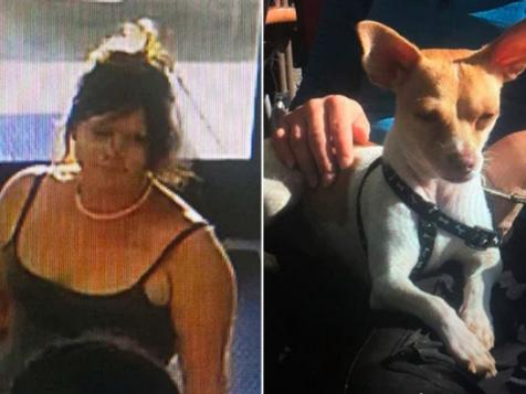 Colorado Woman Stole Dog While Owner Was Having A Seizure At 7-Eleven, Cops Say