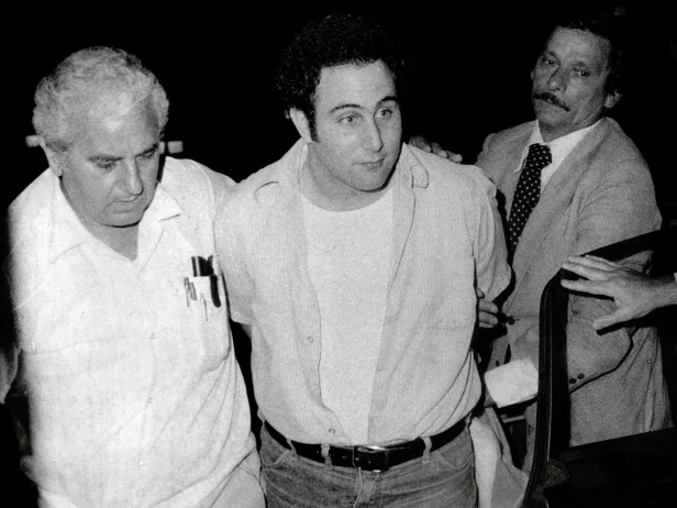 Police officials bring in handcuffed Son-of-Sam suspect David Berkowitz to side entrance of Police Headquarters. [Al Aaronson/NY Daily News via Getty Images]