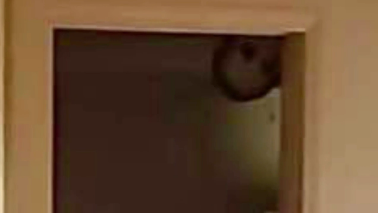 Terrifying moment 'ghost' is caught staring at man through a