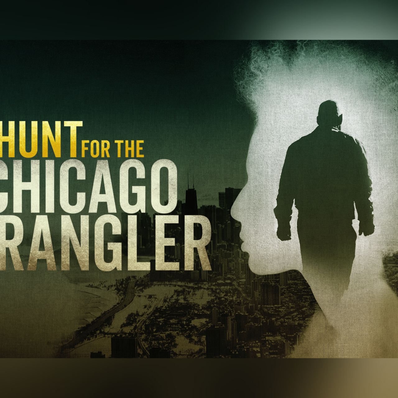 New Discovery+ Special the Hunt for the Chicago Strangler