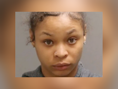 Jayana Tanae Webb's mug shot. She wears a gray sweatshirt and has brown hair. She has been charged with homicide by vehicle while DUI among other charges. The victims were Pennsylvania State Troopers Martin F. Mack III and Branden T. Sisca and pedestrian Reyes Rivera Oliveras.
